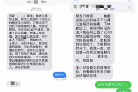 韩城为什么选择专业追讨公司来处理您的债务纠纷？